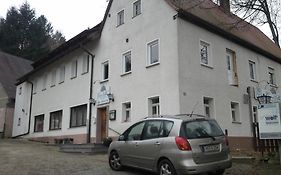 Gruener Baum Nuernberg Brunn